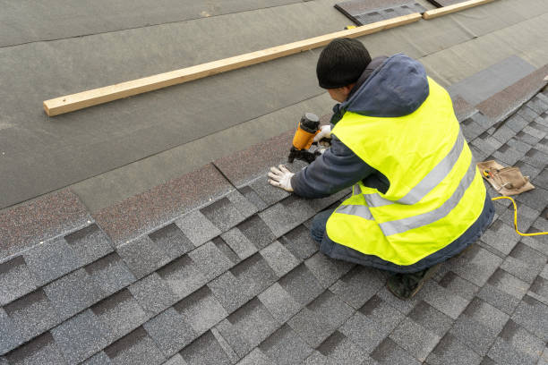 Best Roof Gutter Cleaning  in Raoul, GA
