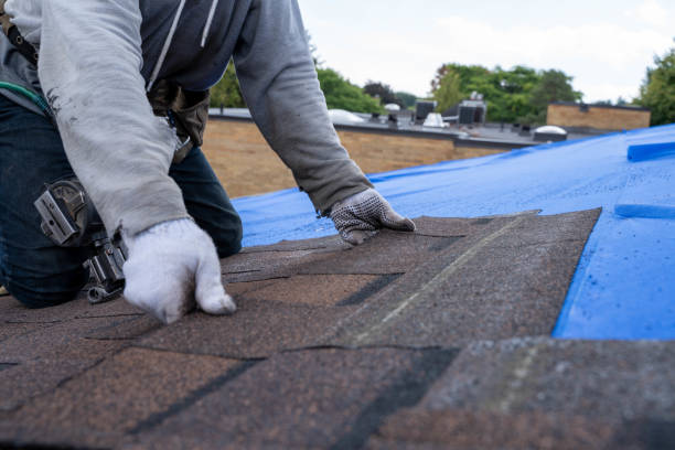Best Residential Roofing Contractor  in Raoul, GA