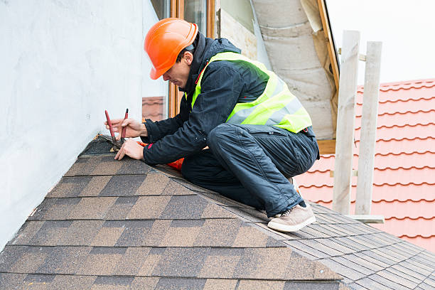 Best Roof Gutter Cleaning  in Raoul, GA