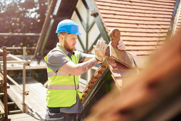 Roof Gutter Cleaning in Raoul, GA