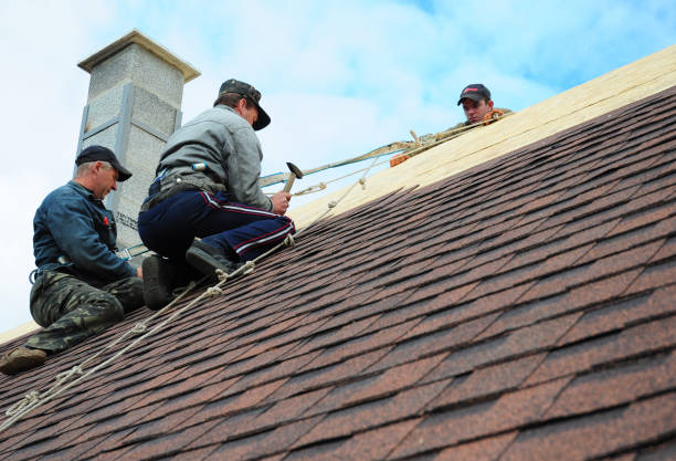 Professional Roofing Contractor in Raoul, GA