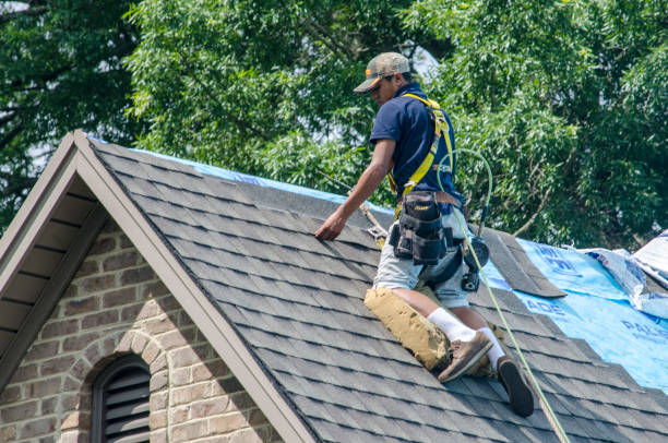 Best Local Roofing Companies  in Raoul, GA